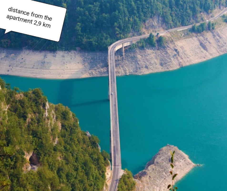 - Piva 2022